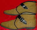 Shoes Side View.GIF (34148 bytes)