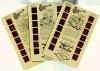 True View Cards.jpg (80818 bytes)